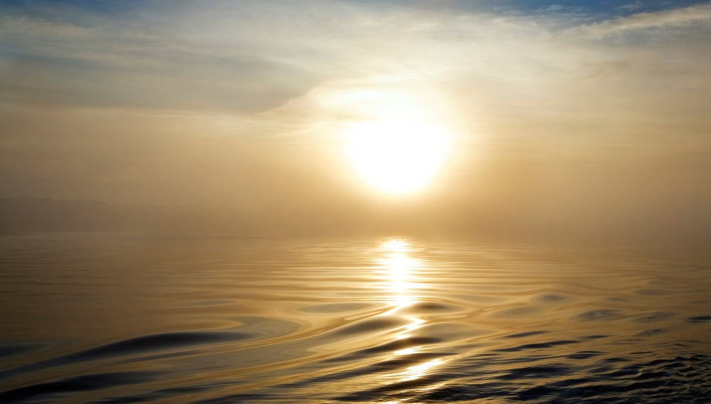 Smooth Sea at Misty Dawn Waterford Harbour Co Waterford Ireland Canvas Art - Panoramic Images (12 x 22)
