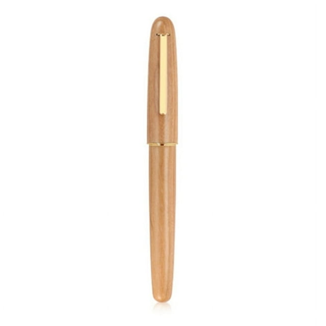 Smooth Writing Pens Caligraphy Pens Fountain Pens Business Pens for Journaling