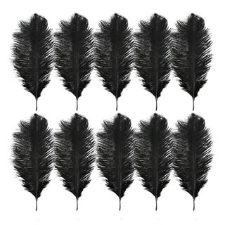 EVNNO 10 Pcs Natural Black Ostrich Feathers Making Kit,27-29 in Large  Ostrich Feathers Bulk for Wedd…See more EVNNO 10 Pcs Natural Black Ostrich