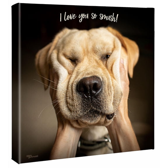 Smush-Yellow Lab