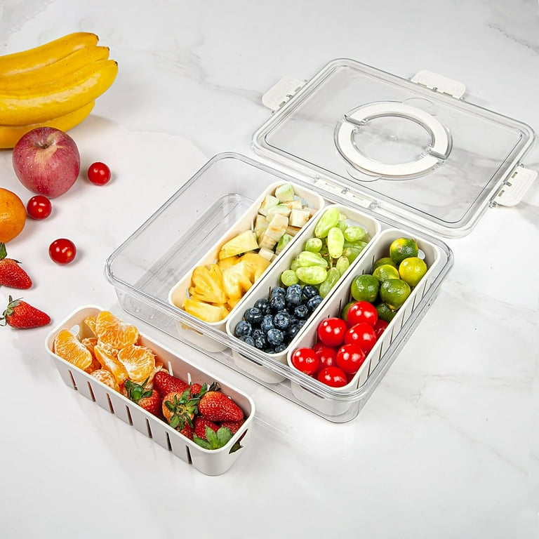 Snack Tray with Lid Handle, BPA Free Plastic Portable Container