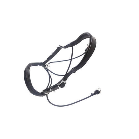 Snaffle Jumping Bridle |Premium English Bridle for Horses| Soft Padded Anatomical Designer Stitched & Brass Buckles English Jumping Bridle for Horses