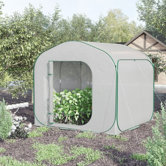 SnagHub 7' x 7' x 7' Portable Walk-in Greenhouse with Carrying Bag, Pop-up Setup, Outdoor Garden Canopy Hot House, Zipper Door for Growing Flowers, Herbs, Vegetables, Saplings, Succulents, White