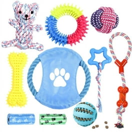 The 12 Best Dog Toys, According to Our Pups
