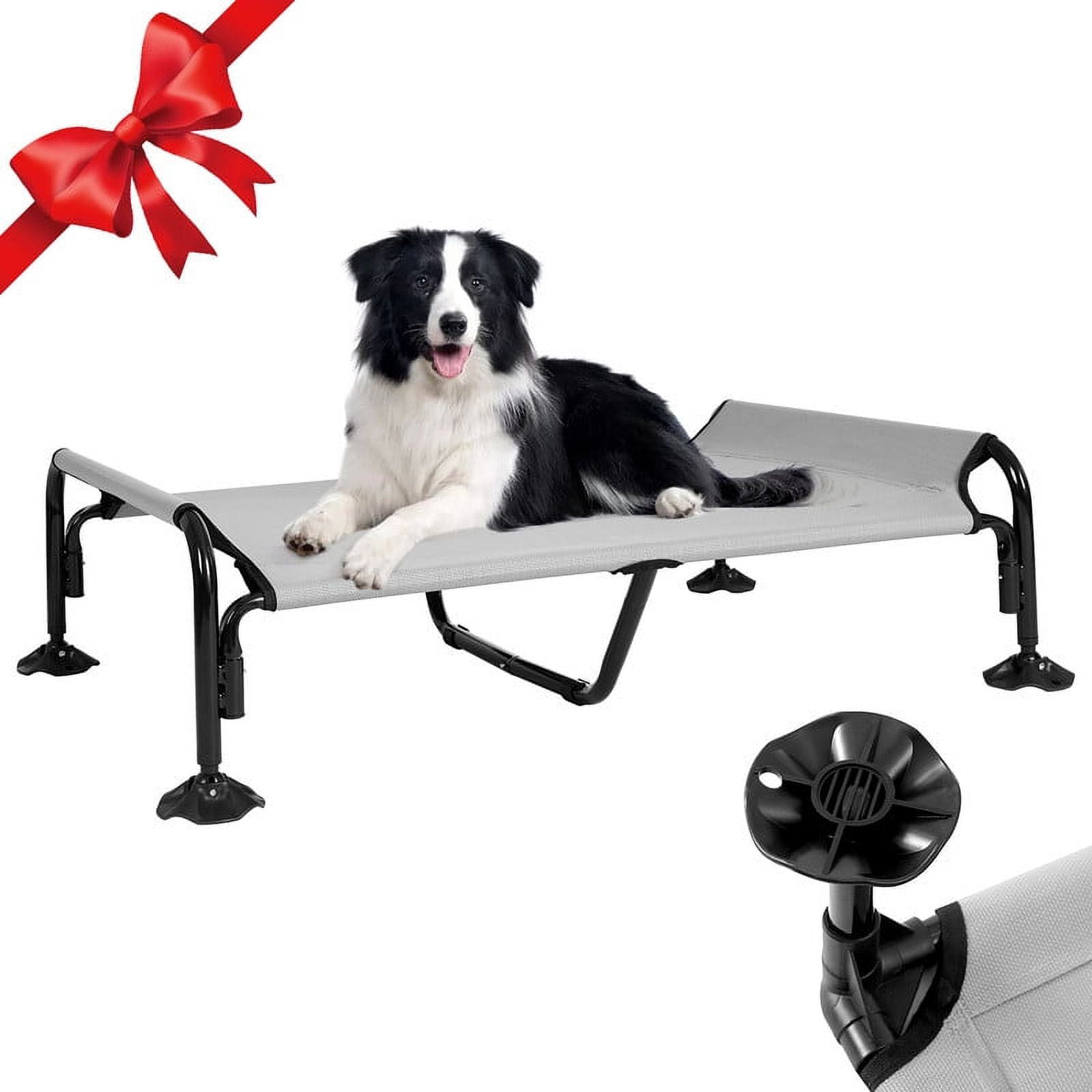 Elevated dog bed with sides 2025