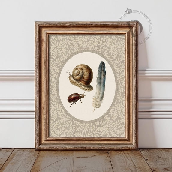Snail And Beetle Wall Art Print, Nature, Vintage Feather And Insect ...