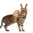 thumbnail image 1 of Snail Cosplay Costume for Small Cats and Dogs, Party Outfit for Halloween and Christmas Celebration, 1 of 6