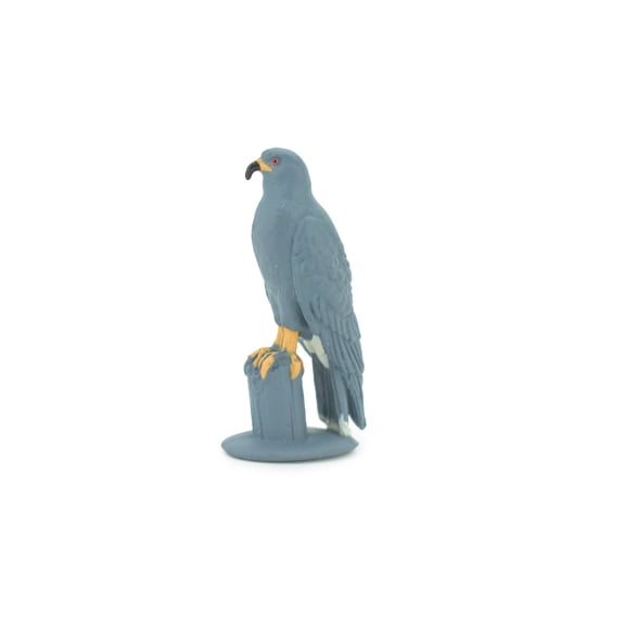 Snail Kite, Rostrhamus sociabilis, Snail-eating Hawk, Hand Painted, Educational, Rubber Bird, Realistic Figure, Lifelike, Gift, 2" SF43 B15