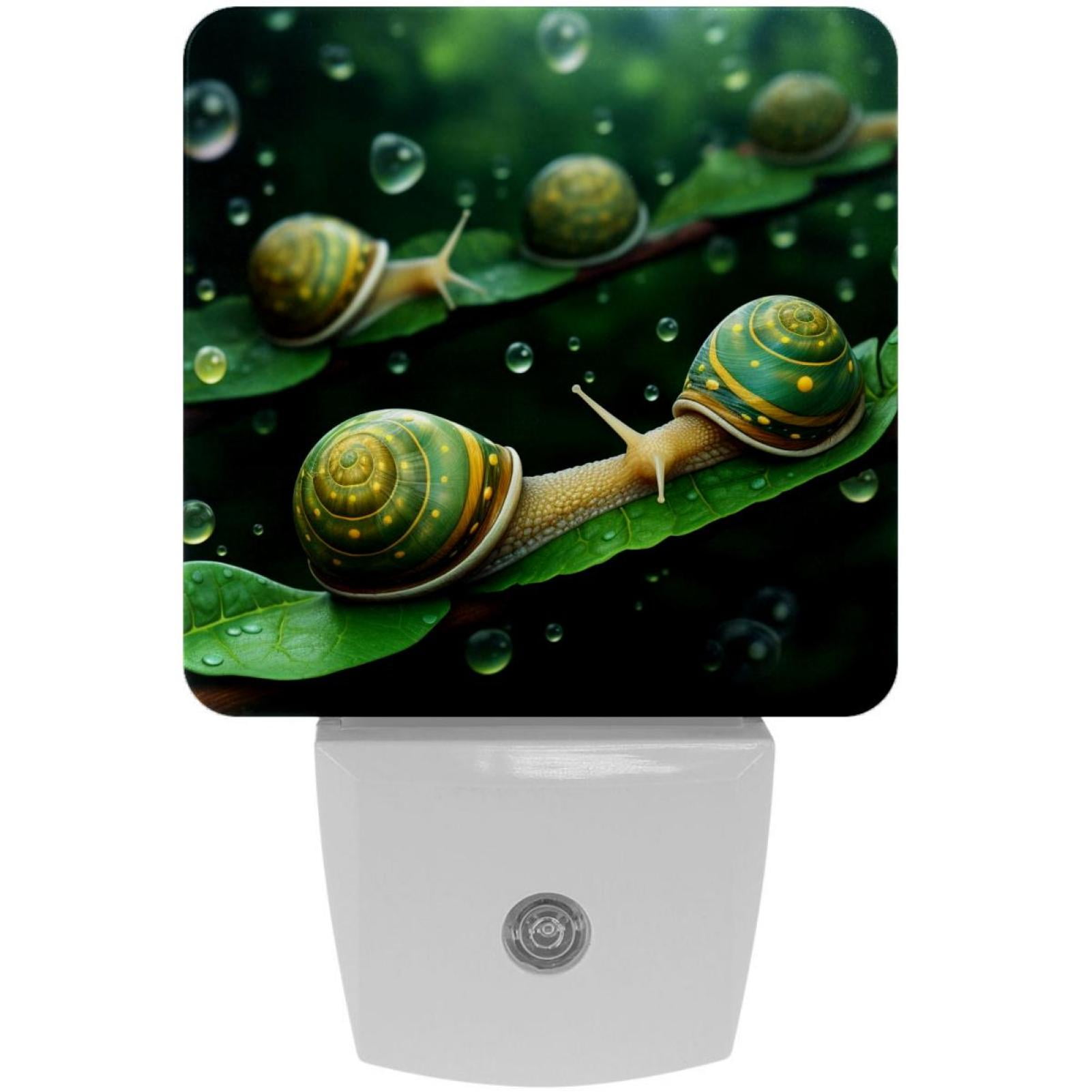 Snail LED Square Night Lights - Stylish and Energy-Efficient Lighting ...