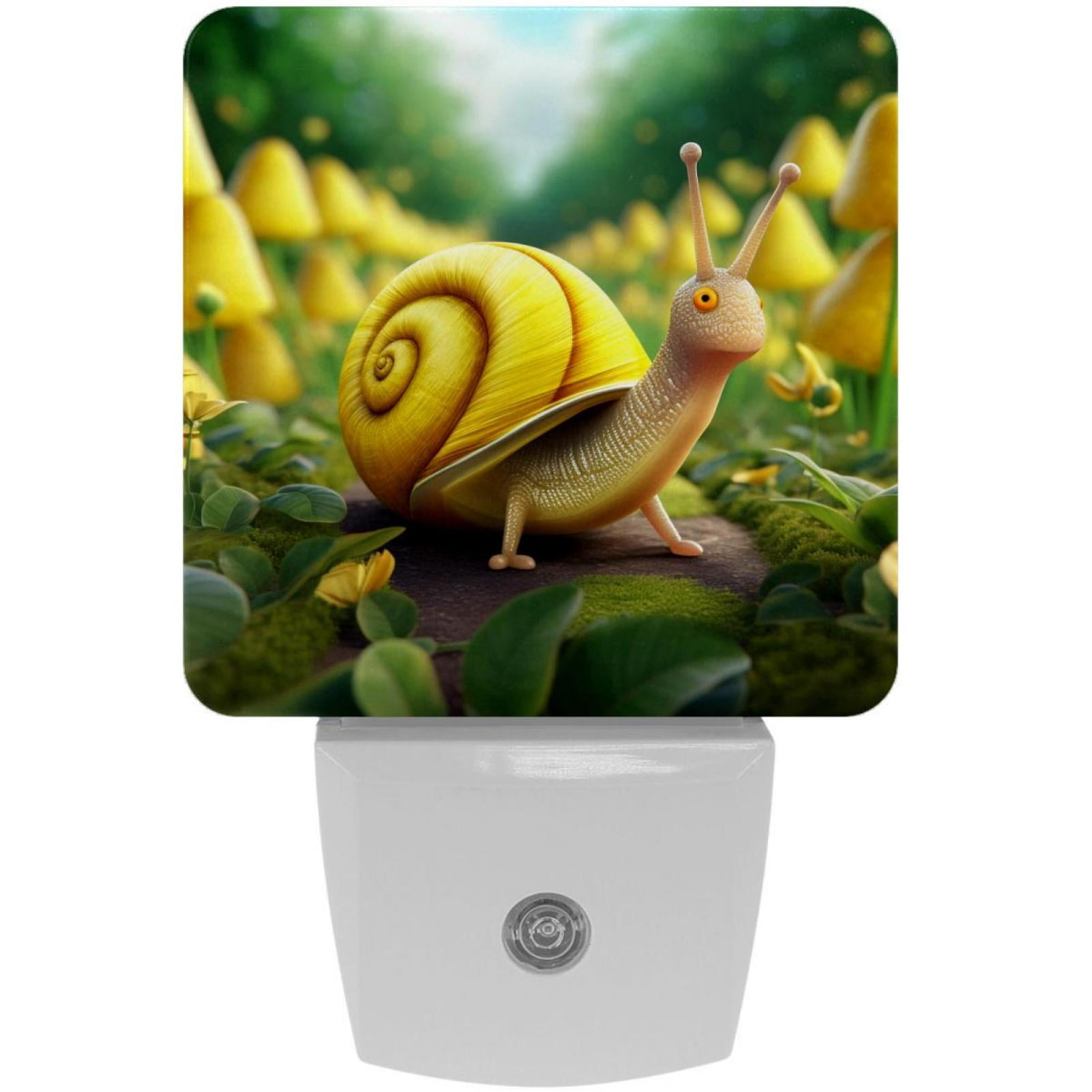 Snail LED Square Night Lights Stylish and EnergyEfficient Lighting