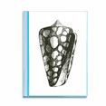 thumbnail image 1 of Snail Marine Life Black Illustration Book Sheet Protectors Portfolio Binder Folder, 1 of 3