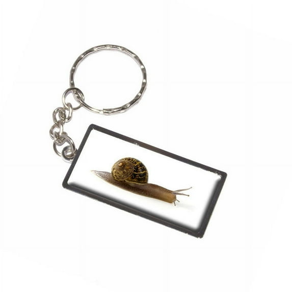Snail Mollusk Keychain Key Chain Ring