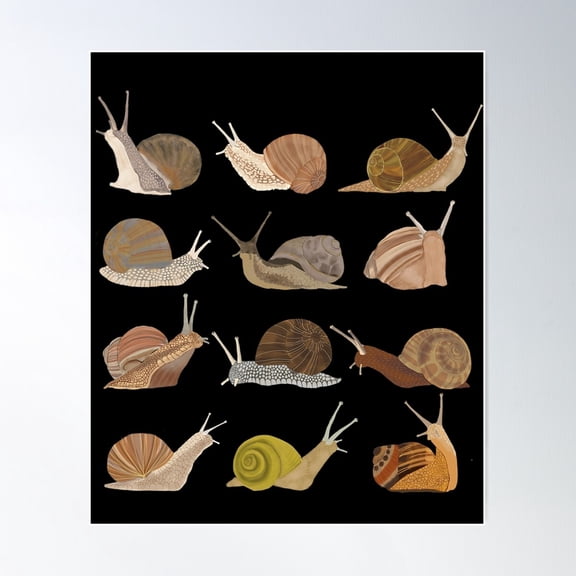 Snail Poster Wall Art, Modern Wall Decor For Living Room Bedroom, 24x36 UNFRAMED