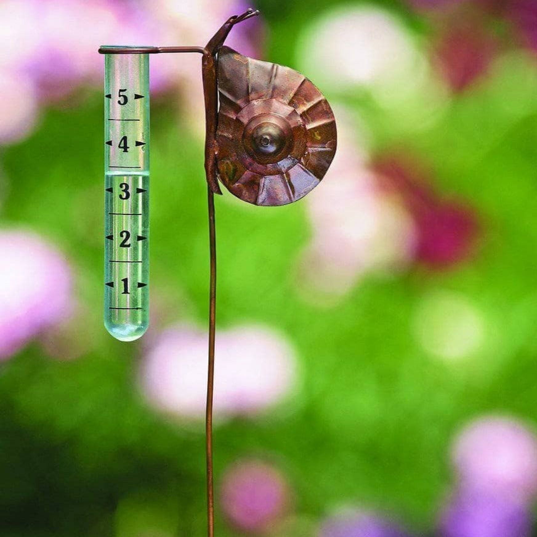 Snail Rain Gauge