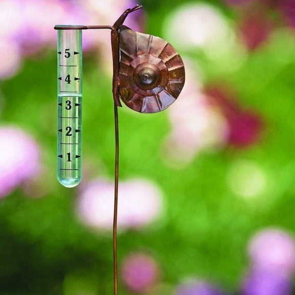 Snail Rain Gauge