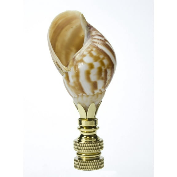 Snail Sea Shell Lamp Finial with Polished Brass Base 3.25"h