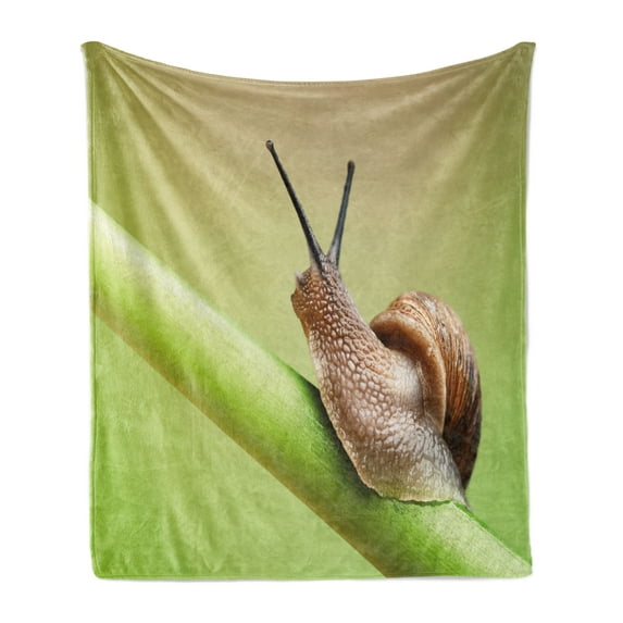 Snail Soft Flannel Fleece Blanket, Common Garden Animal on Stem of Plant Nature Eco Environmental Picture, Cozy Plush for Indoor and Outdoor Use, 50" x 60", Lime Green Pale Caramel, by Ambesonne