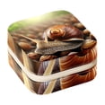 thumbnail image 1 of Snail Travel Portable Square Jewelry Box Earring Necklace Bracelet Organizer Storage Display Case Holder Stand Decorative Box Organize, 1 of 6