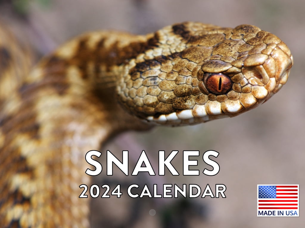 Snake 2024 Wall Calendar Walmart Com Snake 2024 Wall Calendar Ad2285f1 B86e 4dbb 8bdf 33746221247f.1add8878ffecd71a82a4f7448b73ac96