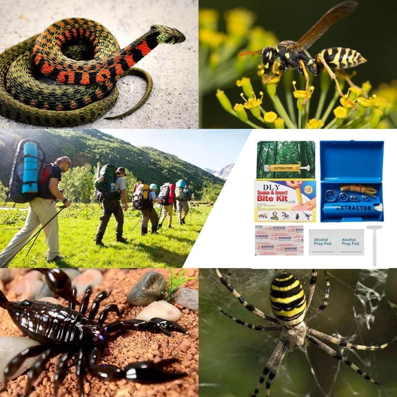Snake Bite Kit, Bee Sting Kit, Emergency First Aid Supplies, Venom Extractor Suction Pump, Bite and Sting First Aid for Hiking, Backpacking and Camping$$Sport & Recreation Other