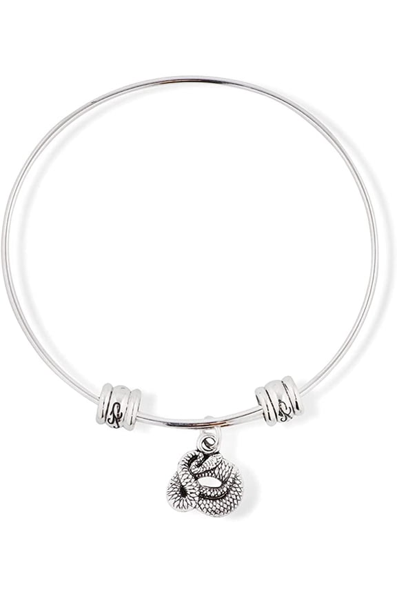 Snake Coiled Fancy Charm Bangle