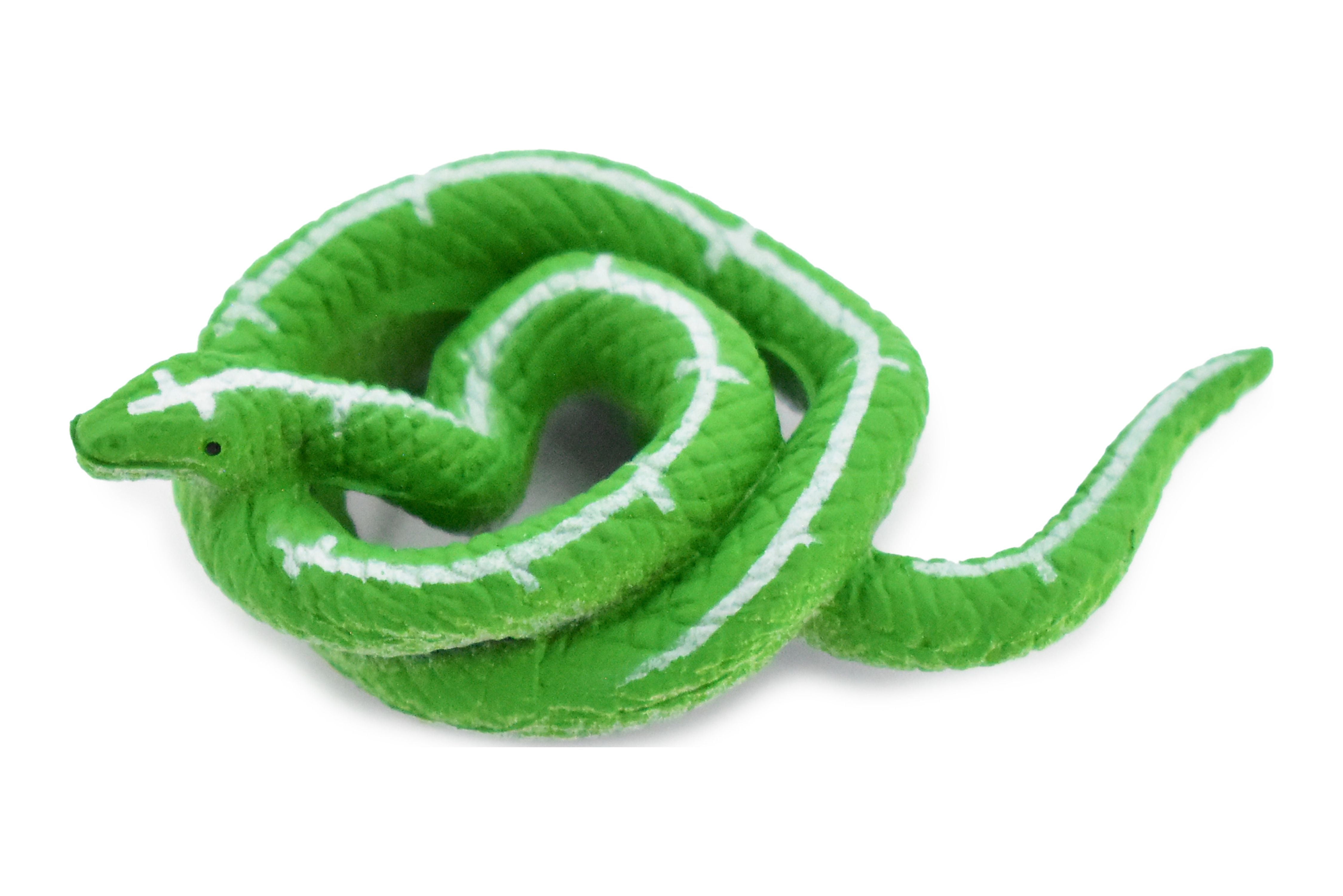 Snake, Emerald Boa, Coiled, Rubber Reptile, Educational, Realistic Hand ...
