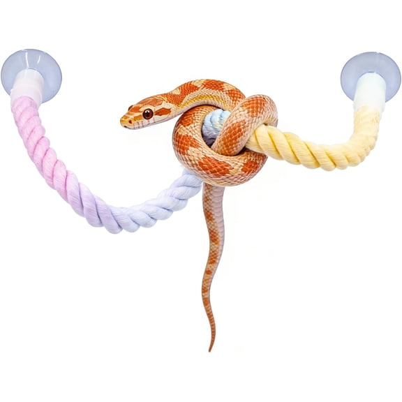 Snake Enrichment, Ball Python Tank Accessories, Gradient Climbing Decoration Rope with Suction Cups, Snake Climbing Accessories, Ball Python Enrichment