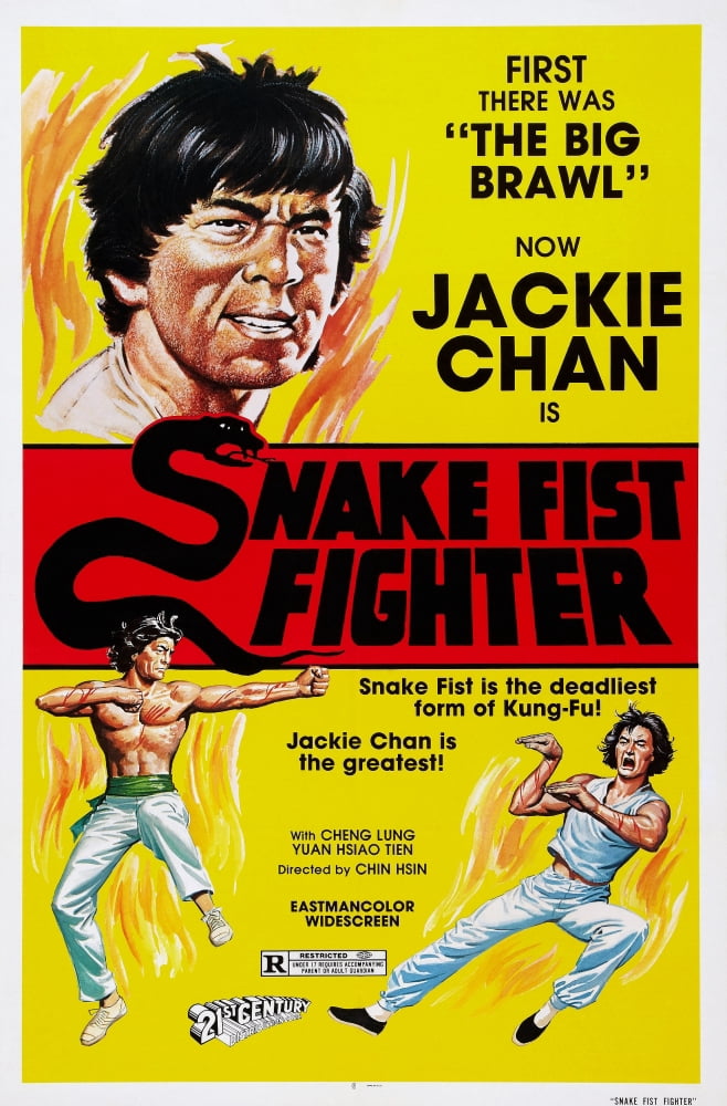 Snake Fist Fighter Canvas Art - (24 x 36)