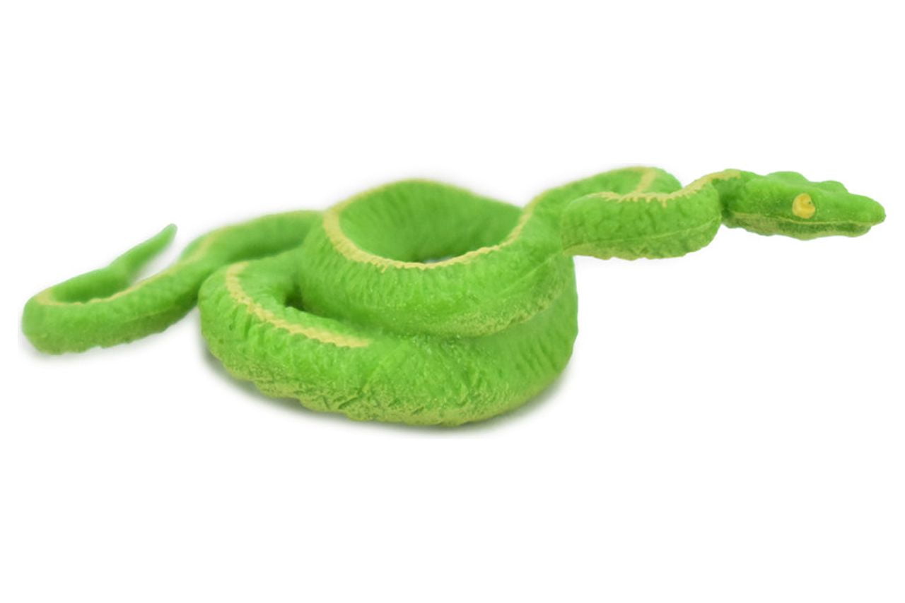 Snake, Green Boa, Coiled, Rubber Reptile, Educational, Realistic Hand ...