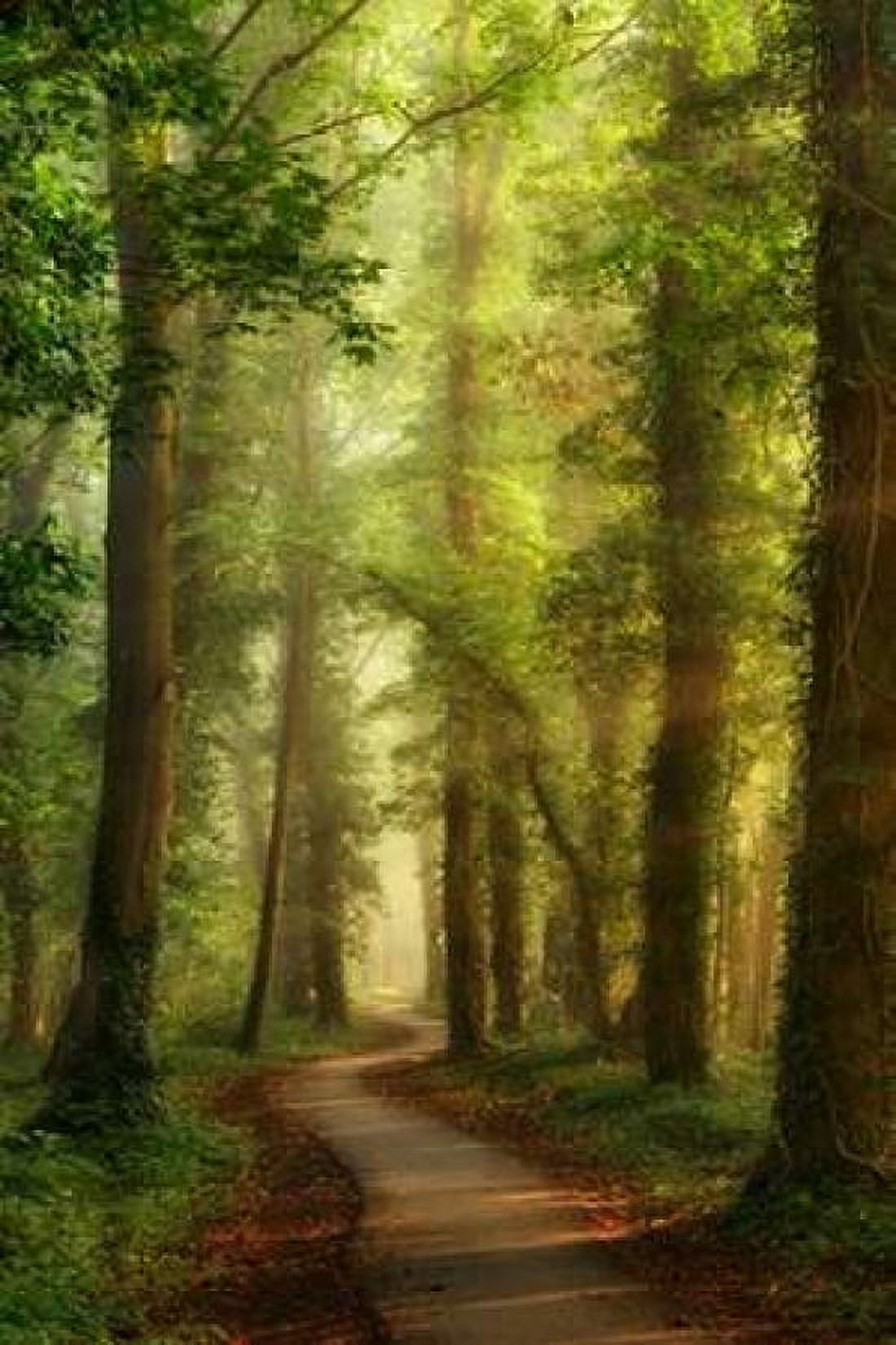 Snake Path Canvas Art - Lars Van de Goor (12 x 18)