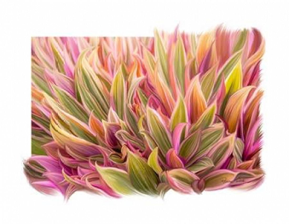 Snake Plant Canvas Art - Ramona Murdock (22 x 28)