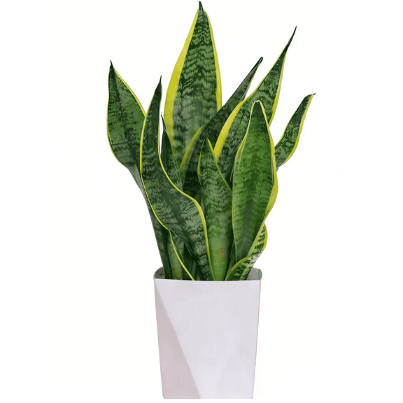 Snake Plant Style Decorative Potted Plant（1PCS） Small Tabletop Greenery for Home or Office Décor, Modern Design, 8–12 in Tall