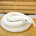 thumbnail image 1 of Snake Plush Toys Home Decor Bedroom Living Room Plush Plushie Cute Decorative Stuffed Animals Throw Pillow White - One Size, 1 of 7