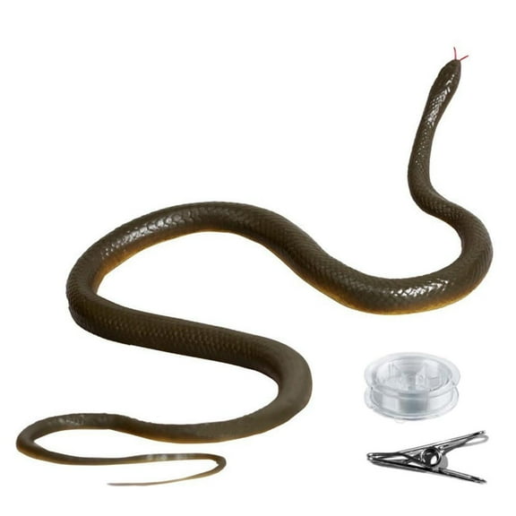 Snake Prank with String Clip Tricks Snake on A String Pranks That Peopl N5