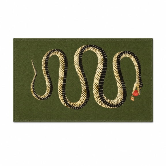 Snake Print Doormat with Non-Slip Backing, Printable Mat Fabric Floor Mat, 2 Sizes