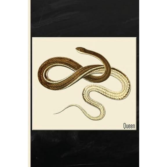 Snake: Queen Watercolor: 6x9 College Ruled Notebook (Paperback)