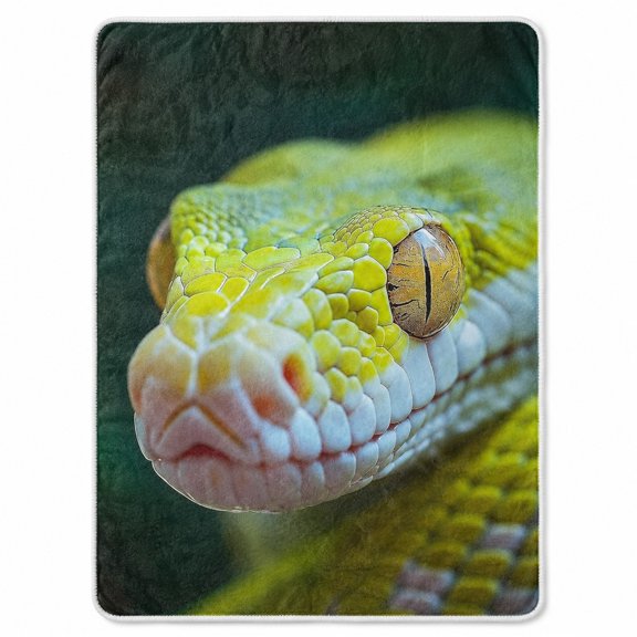 Snake Sherpa Blanket, Reptile Print Polyester Fleece Throw, Soft Cozy Couch Blanket