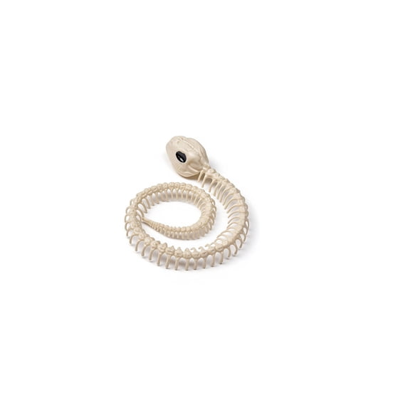 Snake Skeleton Halloween Plastic Bone Snake for Halloween Party Photo Prop Decoration, Graveyard Spooky Decor Indoor Outdoor Scene Party
