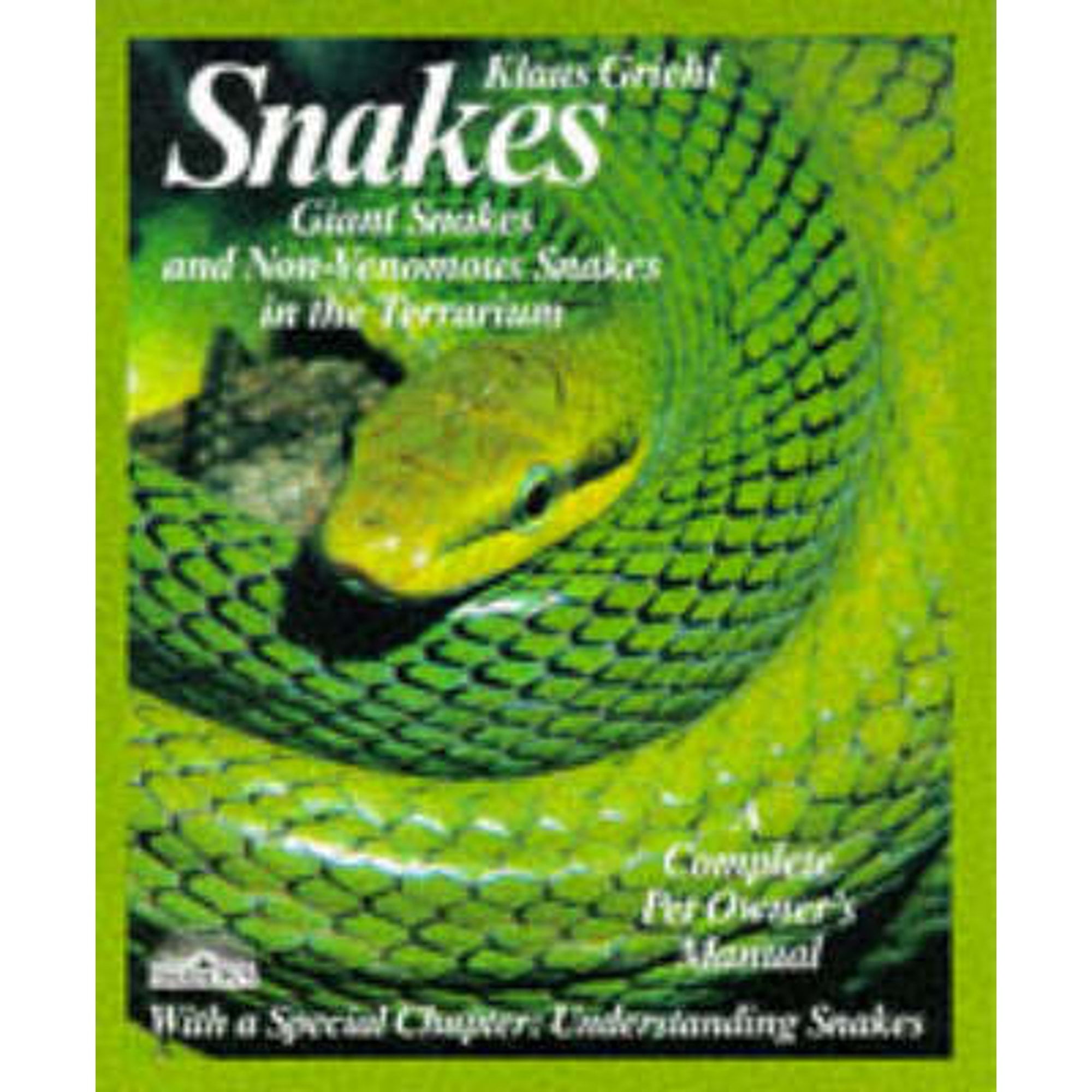 The Surprising Truth About Fangs In Non Venomous Snakes - dp9zuig