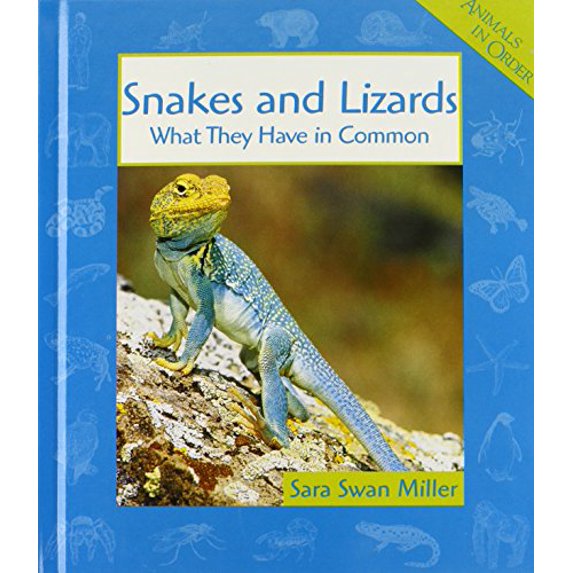 Pre-Owned Snakes and Lizards: What They Have in Common (Animals in ... - Kid Pre Killed Snakes Medalling At Order