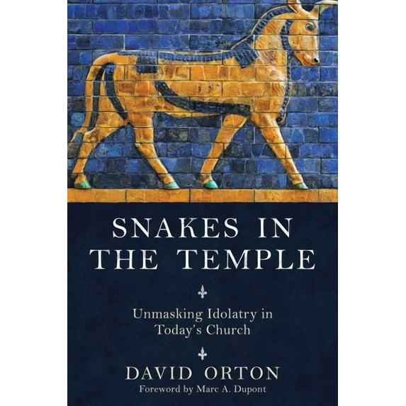 Snakes in the Temple: Unmasking Idolatry in Today's Church (Paperback)