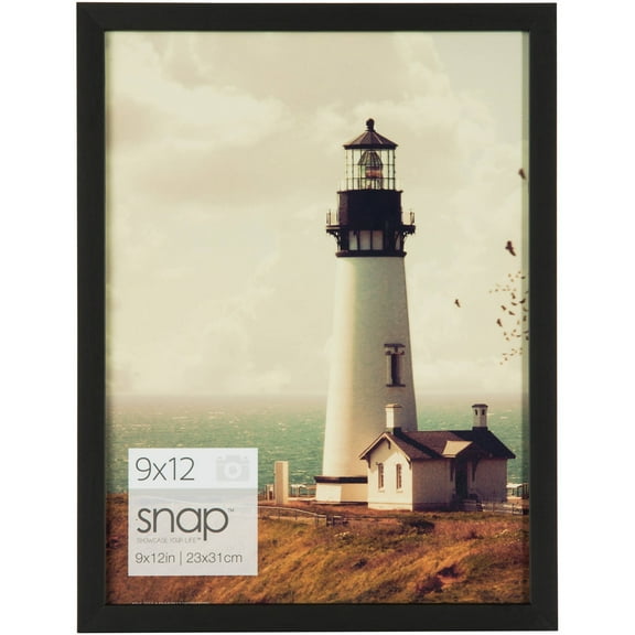 Snap 9x12 Black Photo Frame