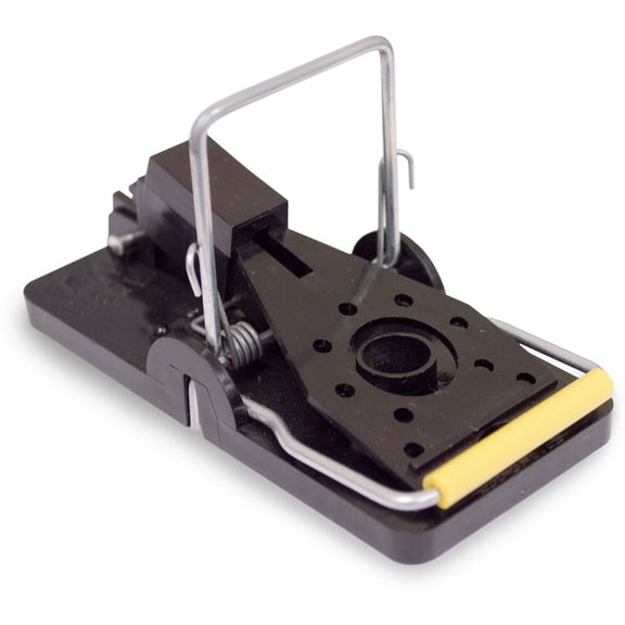 Snap-E Mouse Trap