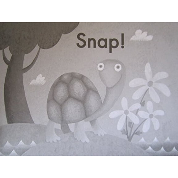 Pre-Owned Snap! (Fountas and Pinnell Leveled Literacy Intervention Books, Green System, Level B, Book 42) (Unknown) 0325018626 9780325018621