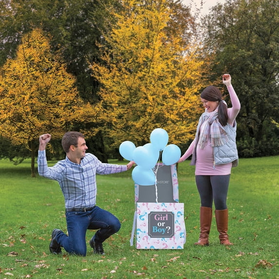 Snap N Store Large Pink & Blue Gender Reveal Box