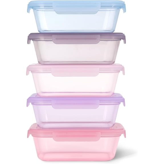 Snap & Nest 10-Piece 4.5 Cup Plastic Meal Prep Set, Reusable Food Containers for Healthy Eating, Freezer, Dishwasher Safe, Berry Fields