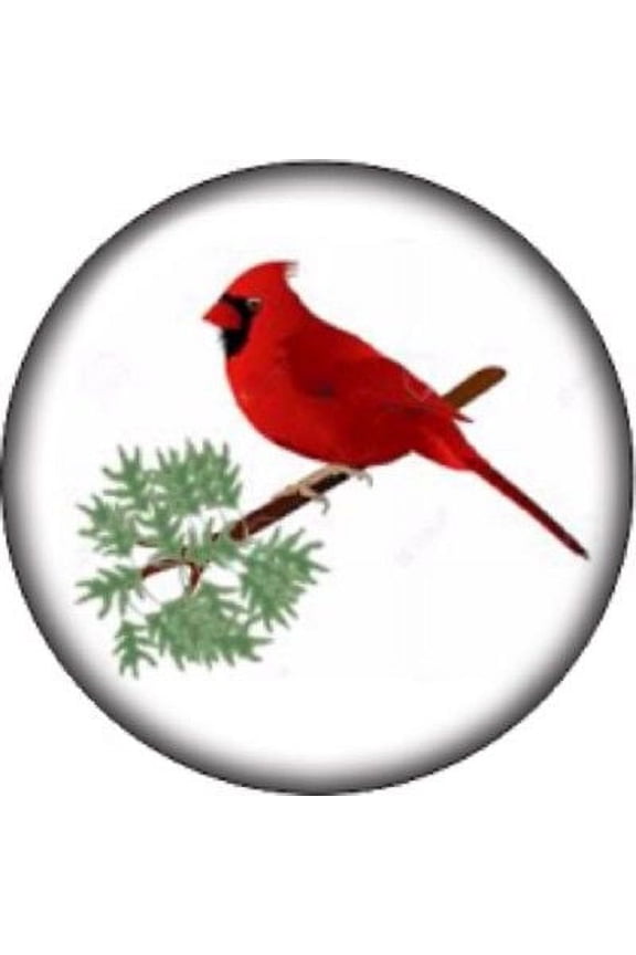 Snap button Cardinal Red bird 18mm charm chunk interchangeable
