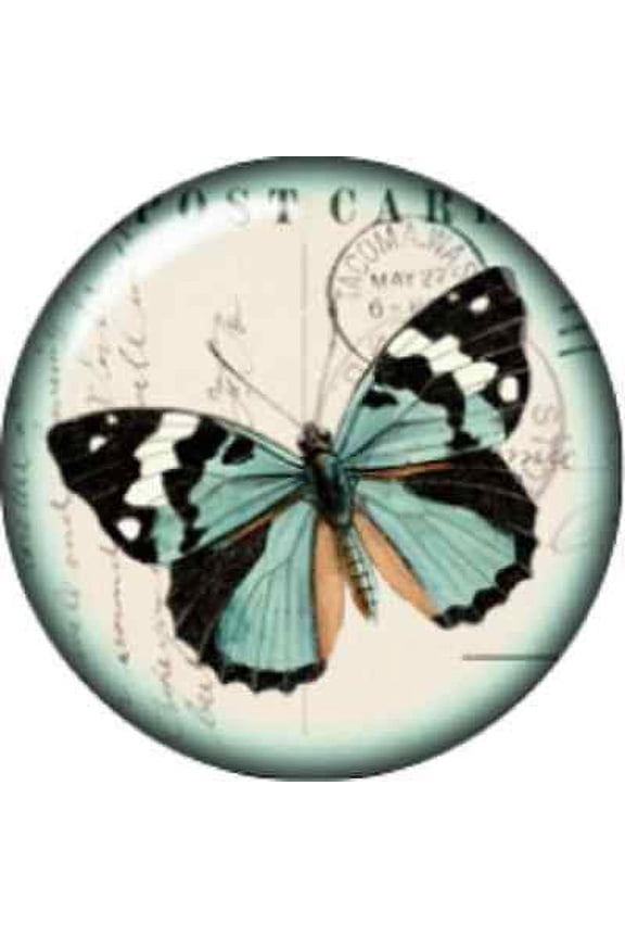 Snap button Domed Butterfly Postage stamp charm  Jewelry 18mm