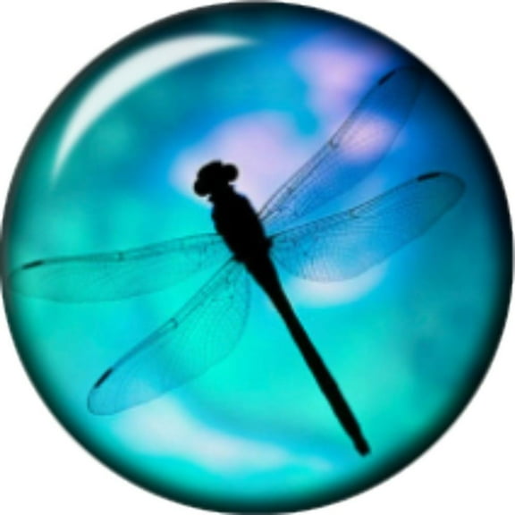 Snap button Domed Dragonfly Interchangable Jewelry 12mm