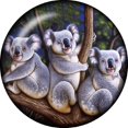 thumbnail image 1 of Snap button Kaola bears 18mm Cabochon, 1 of 1